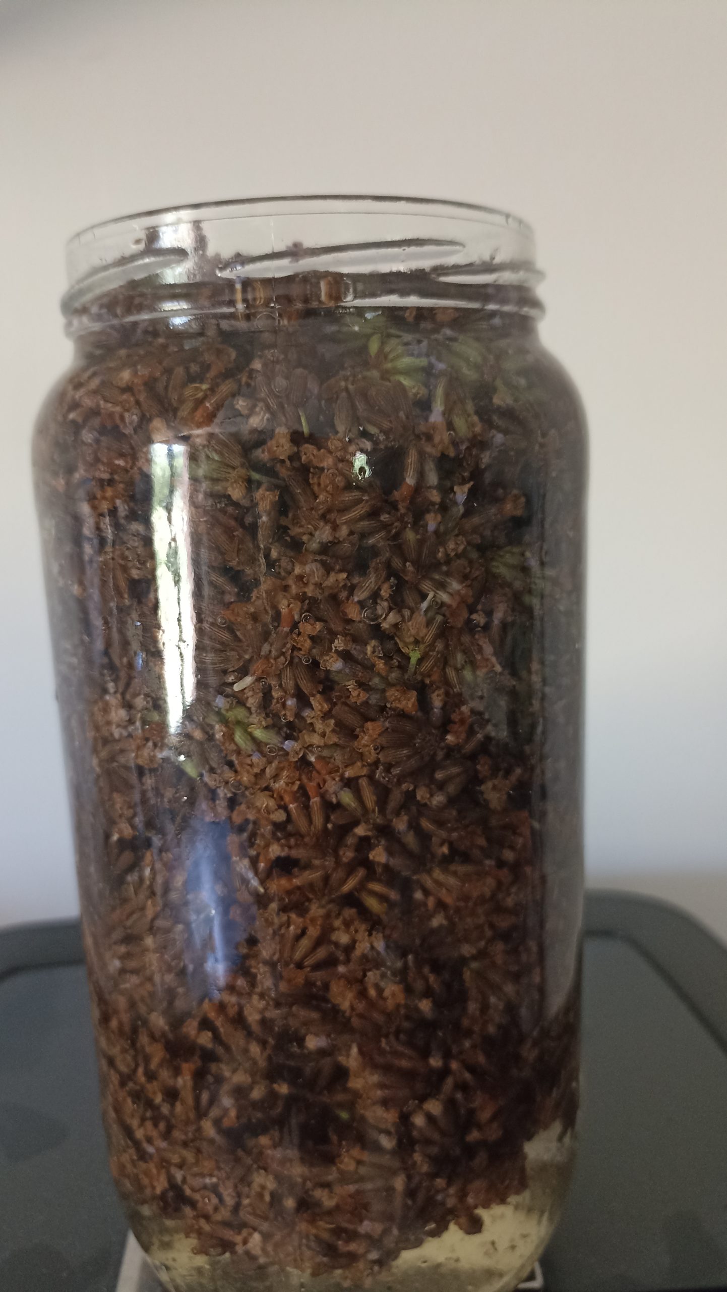 Pr&eacute;paration EHA de lavande