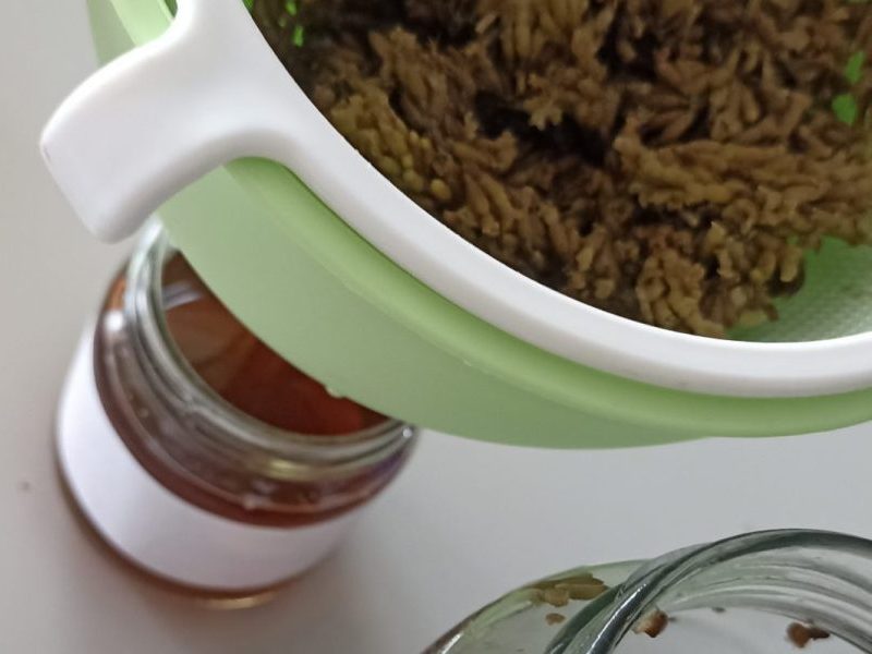 Des plantes fraîches prêtes à être transformées en formes galéniques.