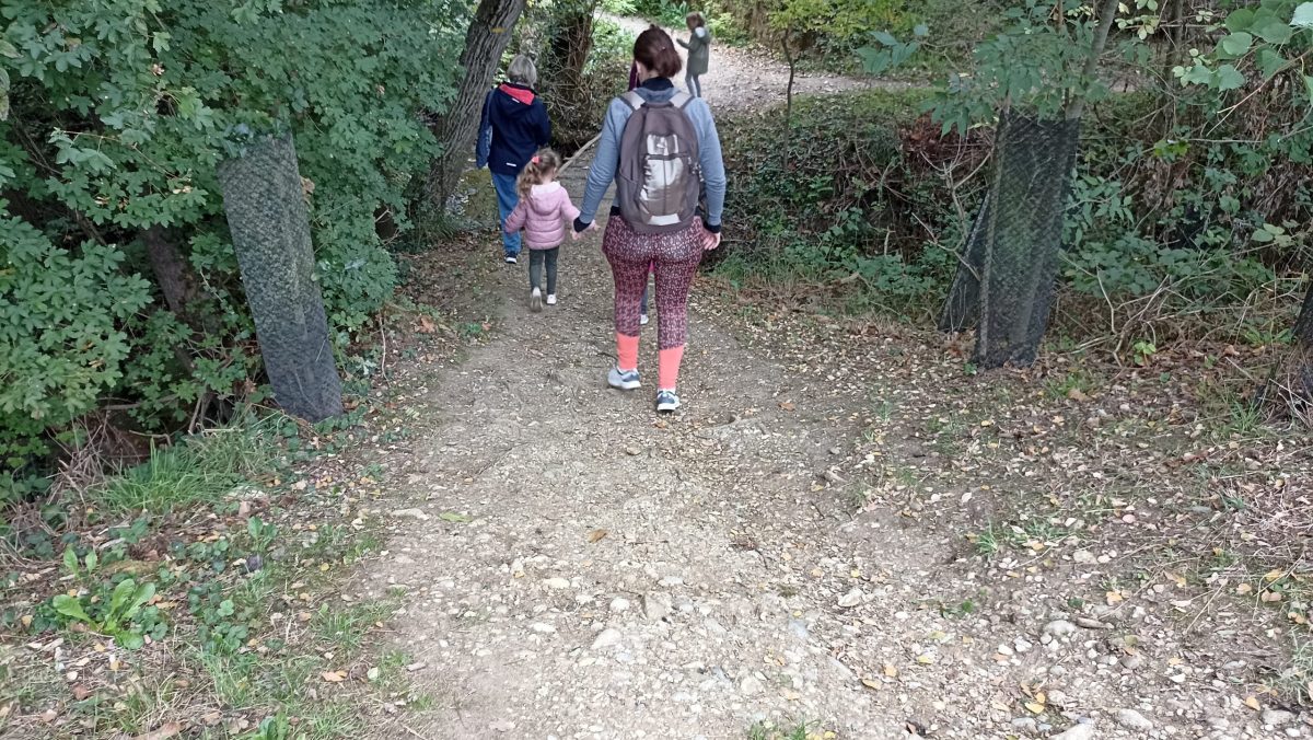 Groupe en balade botanique au Domaine des Oiseaux