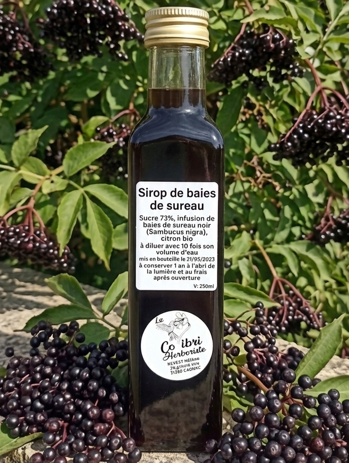 sirop baies sureau
