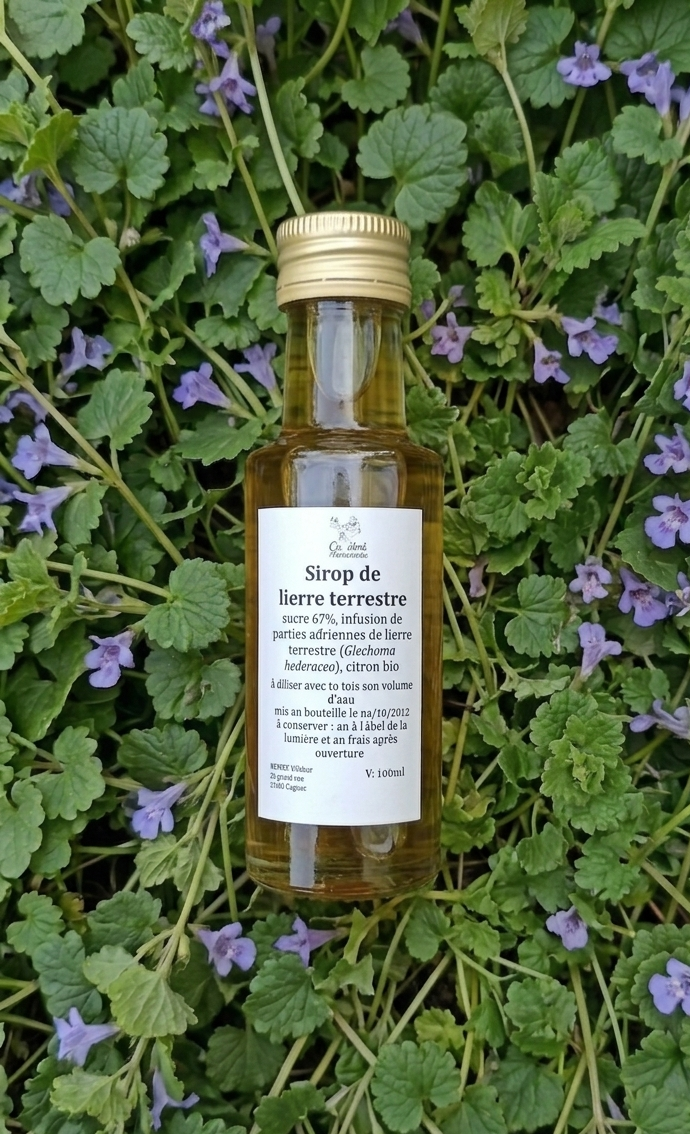 Sirop lierre terrestre petite bouteille