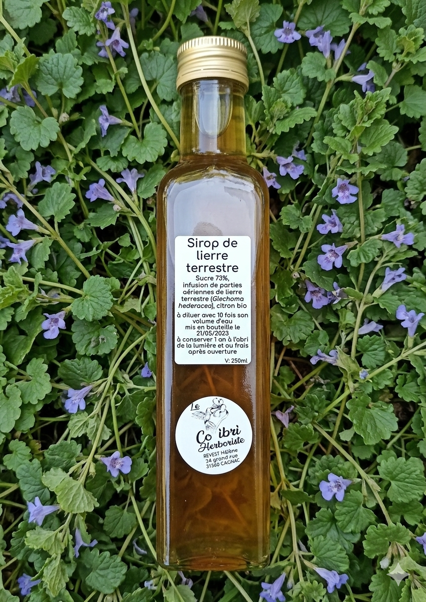 sirop lierre terrestre